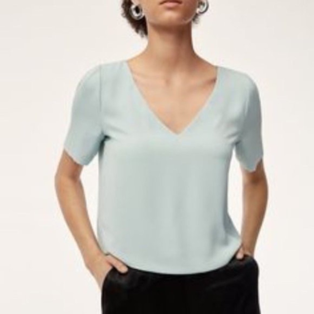 Aritzia Babaton Randy Blouse